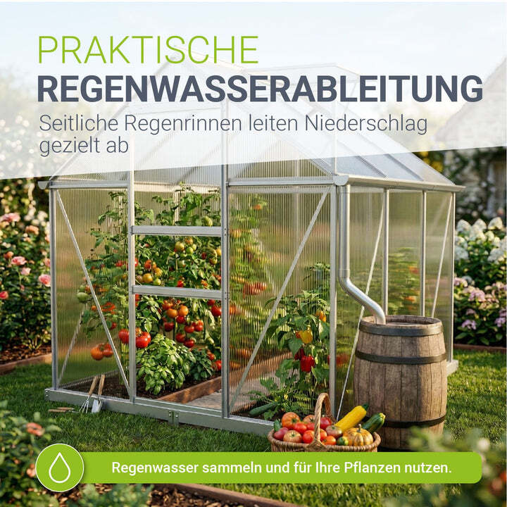 Aluminium Gewächshaus Gewächshaus mit Fundament 190x253cm für Pflanzenpflege - 4262437187327