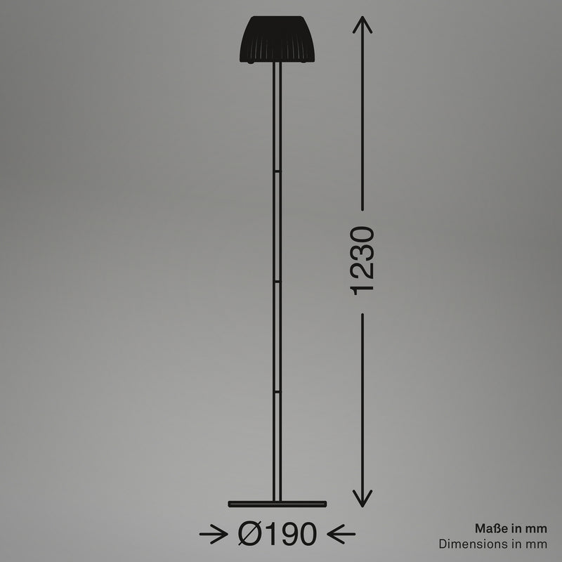 Briloner LED-Stehlampe Loca, anthrazit, Höhe 123 cm Kunststoff/Metall - 4002707485698