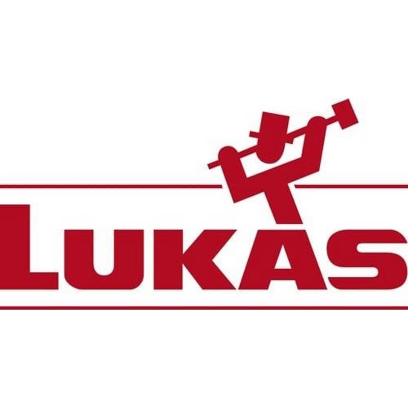 LUKAS Fächerscheibe Schleifscheibe Spezial-Zirkonkorund Ø125mm INOX Stahl K40 - 4027497330430