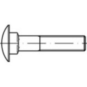B-Ware TOOLCRAFT Flachrundschraube Bolzen M10 30mm Vierkant Stahl verzinkt 200 Stück