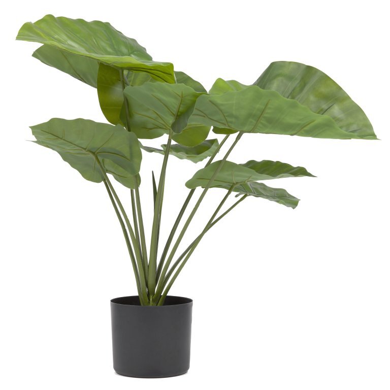 Kave Home Kunstpflanze Dekopflanze Alocasia Kunststofftopf SIEHE TEXT/FOTO - 8433840686974