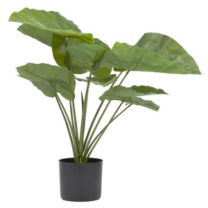 B-Ware Kave Home Kunstpflanze Dekopflanze Alocasia Kunststofftopf SIEHE TEXT/FOTO