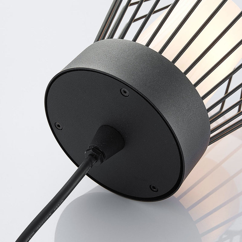 Lindby Außenpendelleuchte Vajana LED Gartenlampe dimmbar schwarz IP44 Ø19cm 80cm - 4251096562958