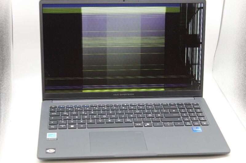 ASUS ExpertBook B1 B1503CVA-S73313 15,6" i7-1355U 16GB RAM 512GB SSD - 4711387991084