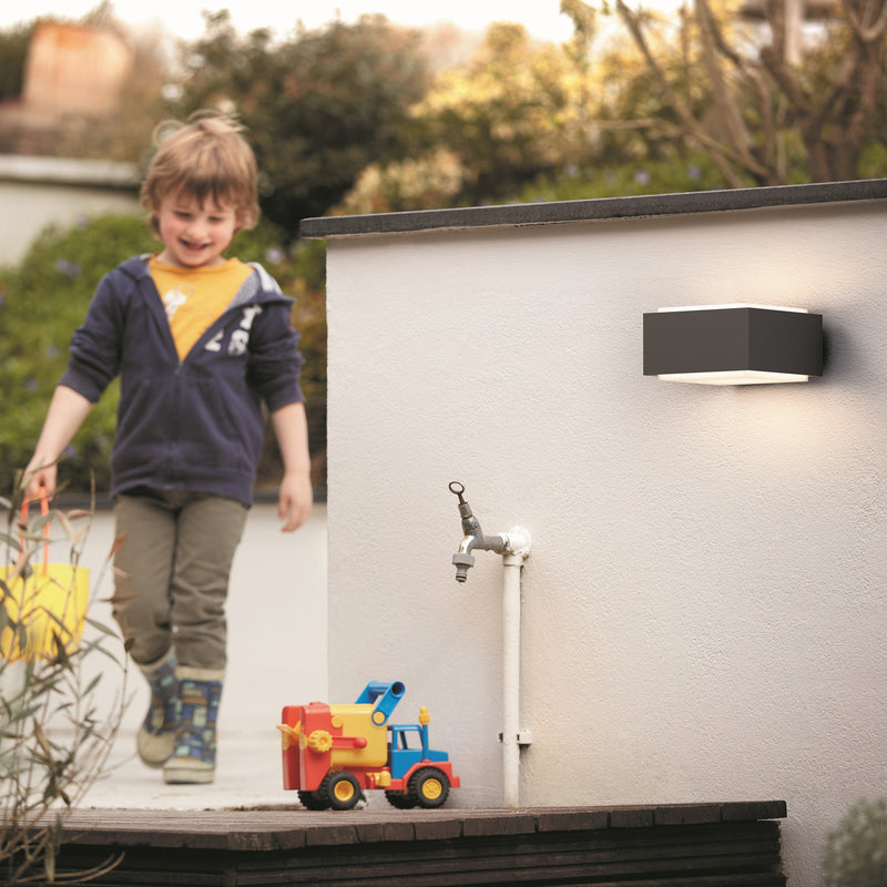 Philips Außenwandleuchte Hedgehog anthrazit LED Gartenlampe Wandleuchte 2er Set - 8721103038098