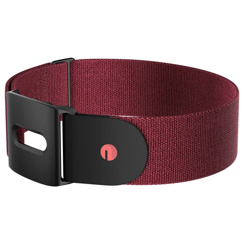 Heart Rate Monitor Belt Polar M-XXL - 0725882065250