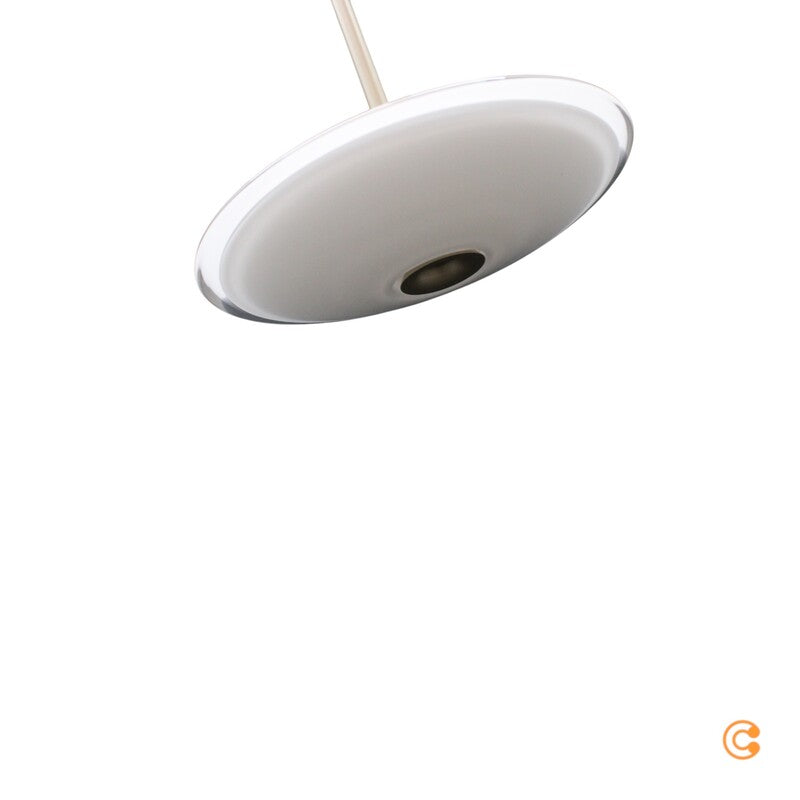 Paul Neuhaus Pendelleuchte Hängelampe LED Bronce ELIPSA Wohnzimmer Esszimmer - 4012248397541