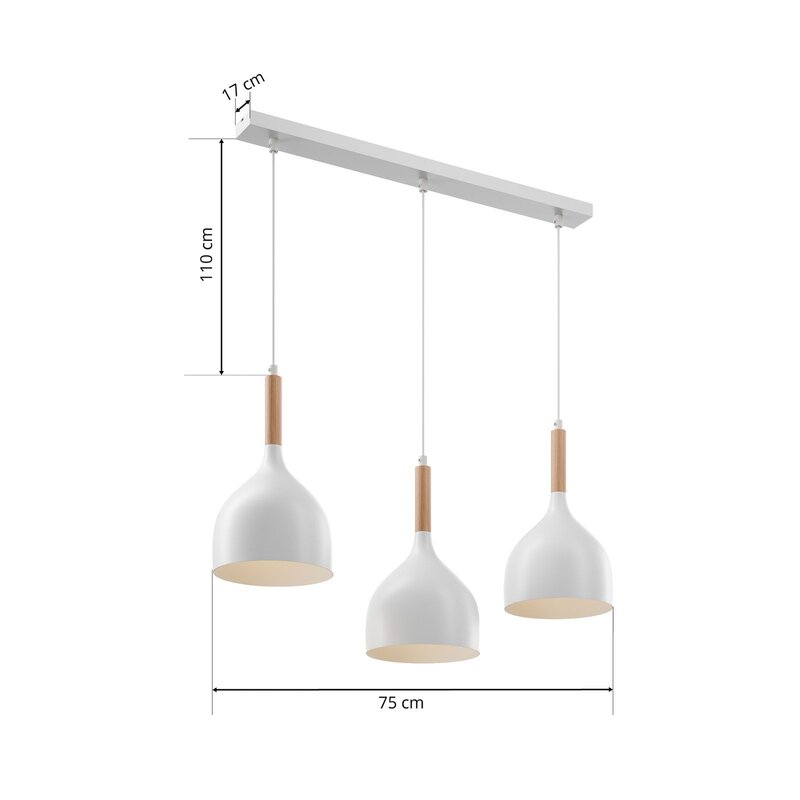 Euluna Hängeleuchte Noak Pendelleuchte Leuchte Lampen Deckenlampe E27 3-flam186 - 5907565911961