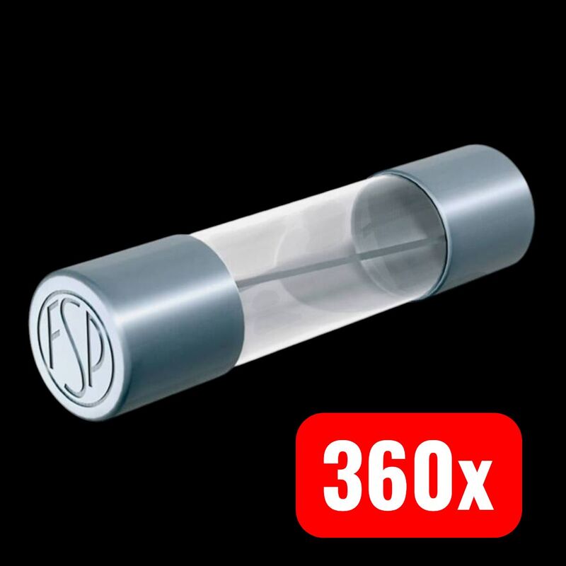 Püschel Feinsicherung FST10,0B 10A 250V Träge Sicherung Glasrohr 5x20mm 10 Stück - 2050005450025
