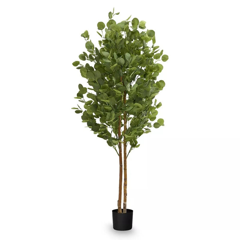 Künstlicher Eukalyptusbaum 152 cm Maia Shop für Innen- und Außenbereich - 8435240997520