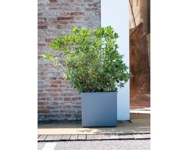 Deroma Pflanztopf Quadro Millenium 49x49x49cm wasserdicht frostbeständig - 0191942105509