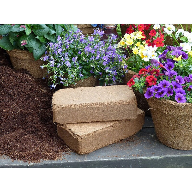 Proflora Kokosziegel Blumenerde torffrei 8l Ziegel verbessert Bodendurchlüftung - 4251232700015