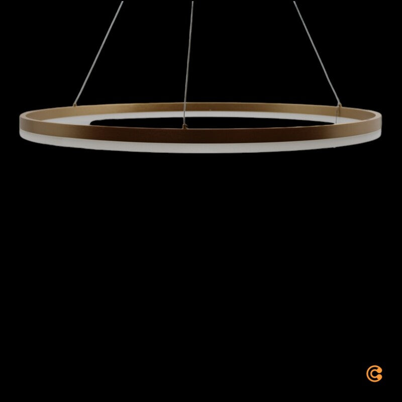 Paul Neuhaus Titus Hängelampe Pendelleuchte LED Deckenlampe messing Ø80cm - 4012248362877