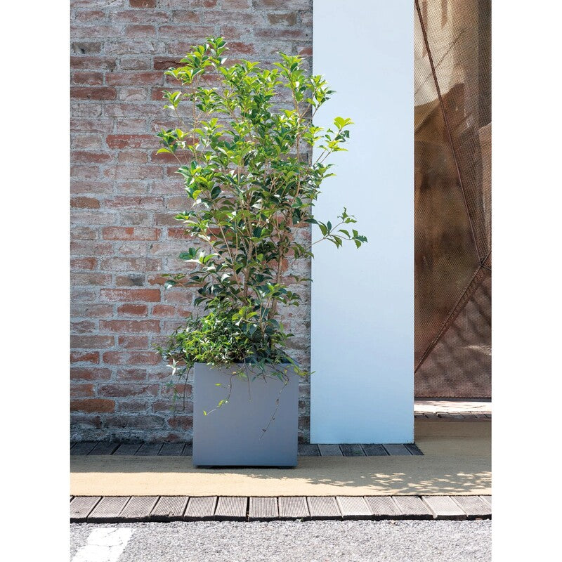 Deroma Pflanztopf Quadro Millenium 39x39cm Aschgrau Garten Pflanzgefäß robust - 0191942105486