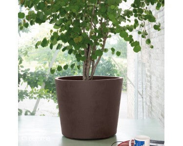 Deroma Pflanztopf Millennium mit Rollen Gartenpflanze Ø59cm braun frostbeständig - 0191942106551