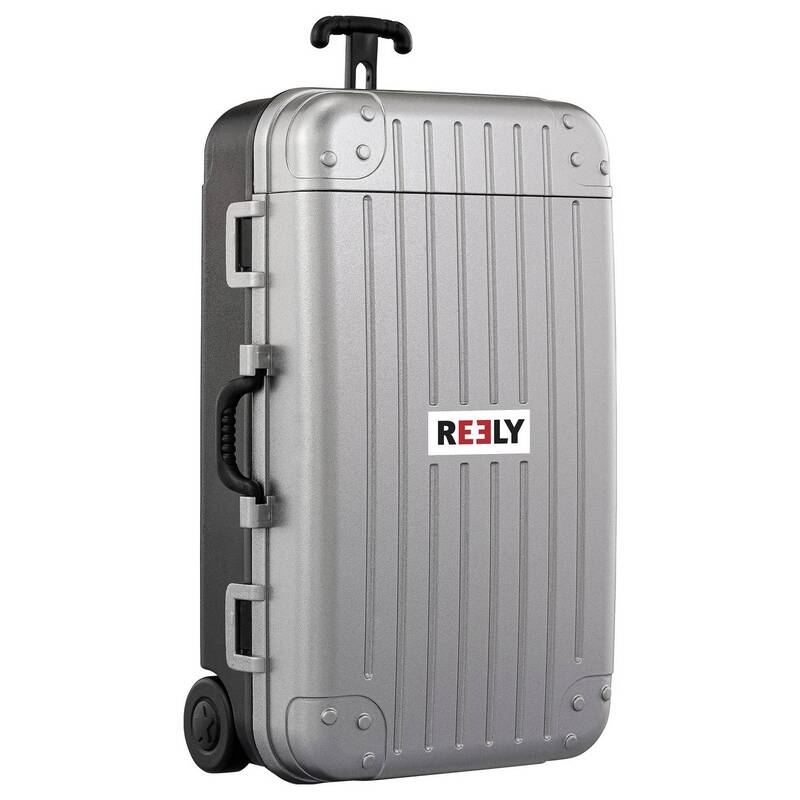 Reely Quadrocopter Drohne Mini Drone Kameraflug Suitcase Silber Schwarz Kamera - 4064161476353
