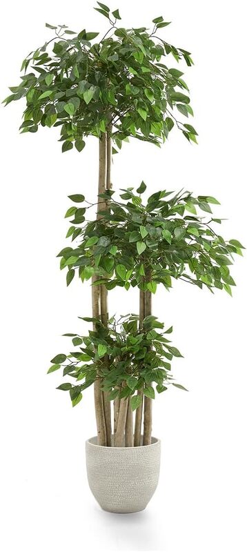 Maia Shop Kunstpflanze Kunstbaum Ficus Baum künstlich ohne Übertopf 175 cm - 8435240504490