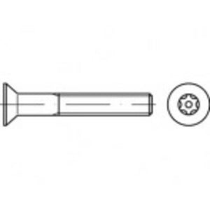 B-Ware Toolcraft Sicherheitsschraube M8 Innensechsrund Edelstahl A2 100 Stück 16mm