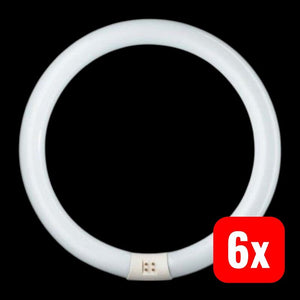 6x B-Ware Philips Röhrenlampe Leuchtstoffring G10q 40W 830 dimmbar warmweiß Ø40,64cm