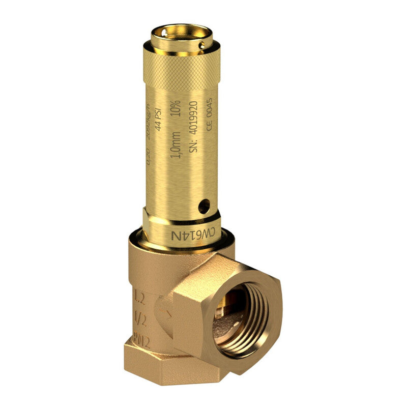 Riegler Eck-Sicherheitsventil G 1 1/4 6 bar für Flüssigkeiten Rotguss Messing - 4047322039611