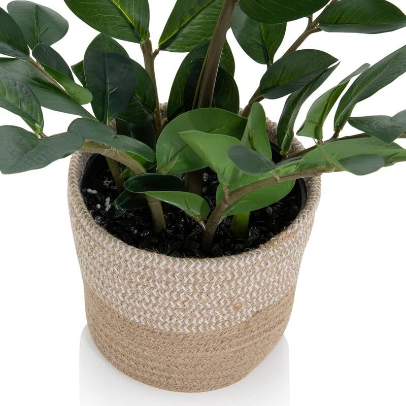 hjh OFFICE Kunstpflanze Kunstbaum ZAMIE Zamioculcas Zimmerpflanze Pflanze grün   - 4064323007371