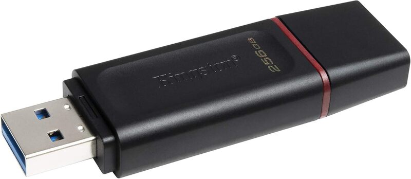 Kingston DataTraveler Exodia 256GB USB 3.2 Flash-Laufwerk Schwarz/Pink - 0740617310023