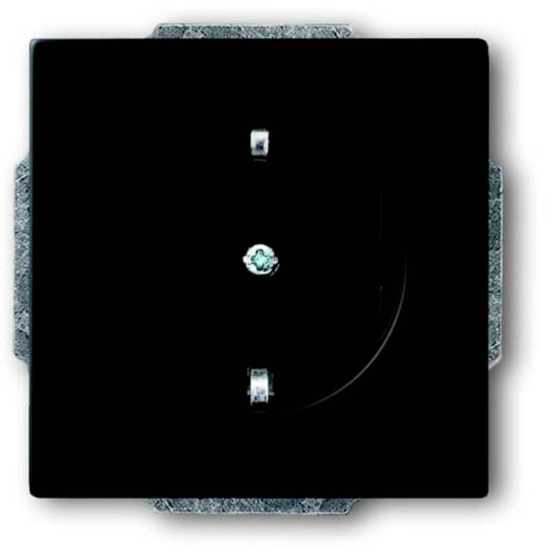 ABB Geräteeinsatz IP20 Schwarz 250V 16A Schraubbefestigung 71x40mm kompakt - 4011395128930