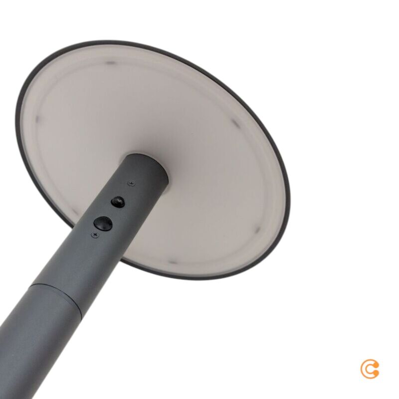 LED-Solar-Wegeleuchte Justina mit Bewegungsmelder anthrazit 60cm Nordlux - 5704924017575