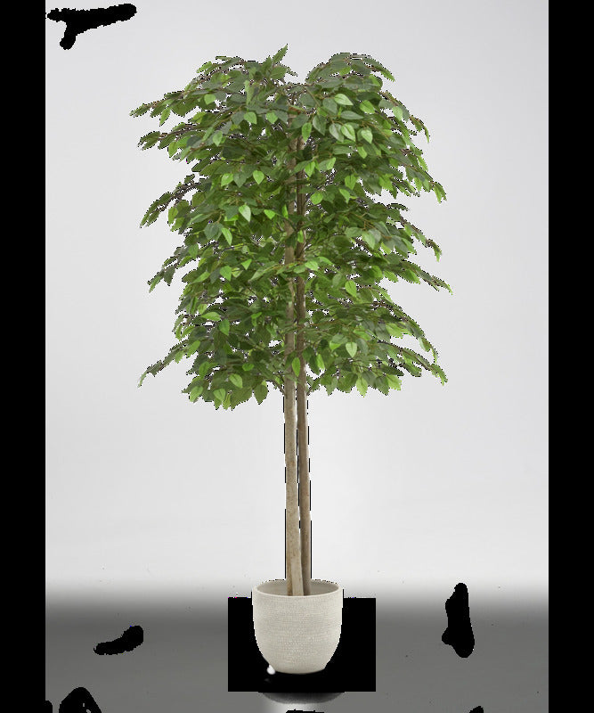 Maia Shop Künstliche 2 Baumkronen Ficus Kunstpflanze Wohnzimmer Dekoration 150cm - 8435240504483