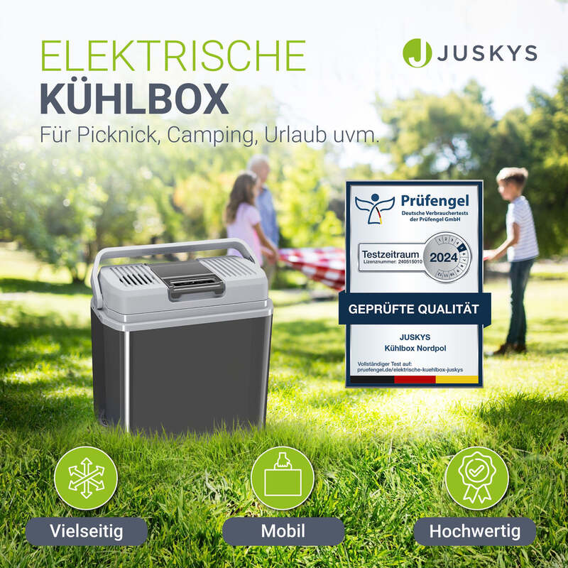 Kühlbox Nordpol Elektrische Kühlbox 24L 12V 230V Grau für Ausflüge und Reisen - 4260565528005