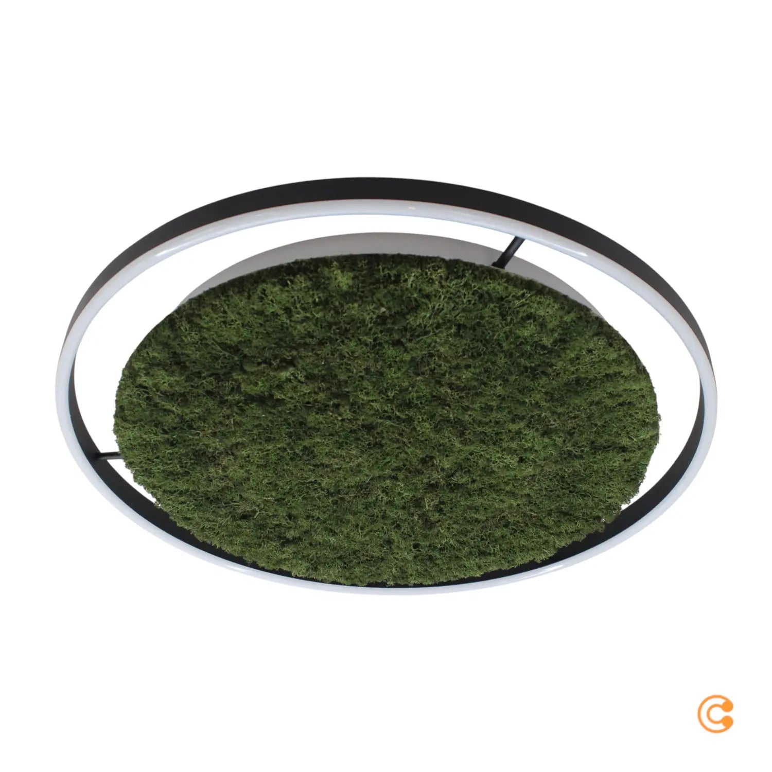B-Ware Just Light Deckenlampe Deckenleuchte Led Green Ritus Moos Dimmbar Schwarz Grün