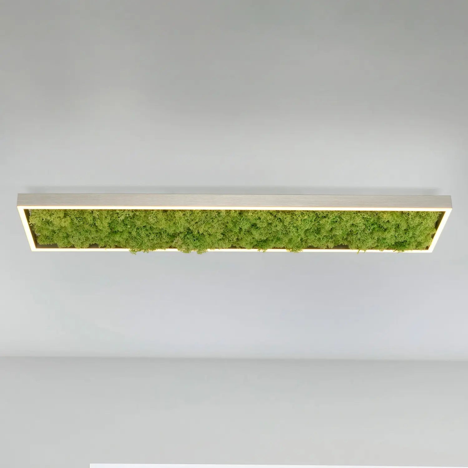 B-Ware Green Deckenleuchte Lampen Led Leuchte Moos Alu Acryl 100x25x5,6cm Siehe Text - 4043689994846