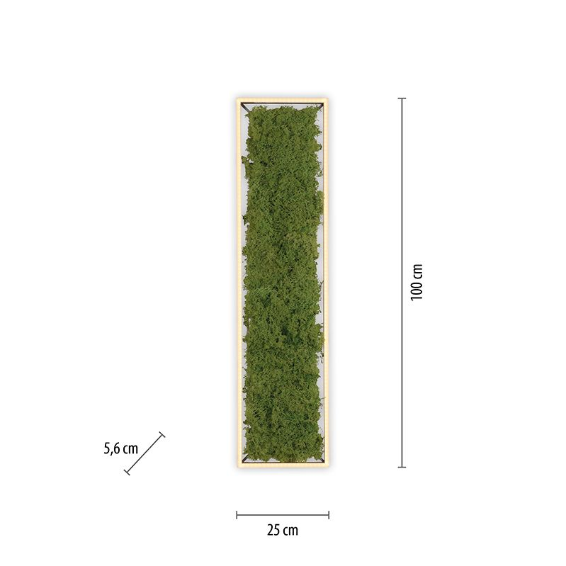 B-Ware Green Deckenleuchte Lampen Led Leuchte Moos Aluminium Acryl Quadrat 1000x250648