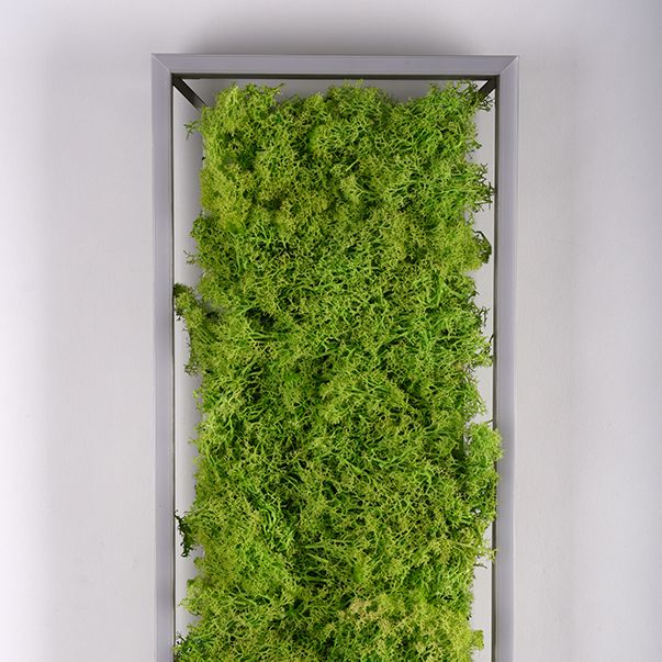 B-Ware Green Deckenleuchte Lampen Led Leuchte Moos Aluminium Acryl Quadrat 1000x250648