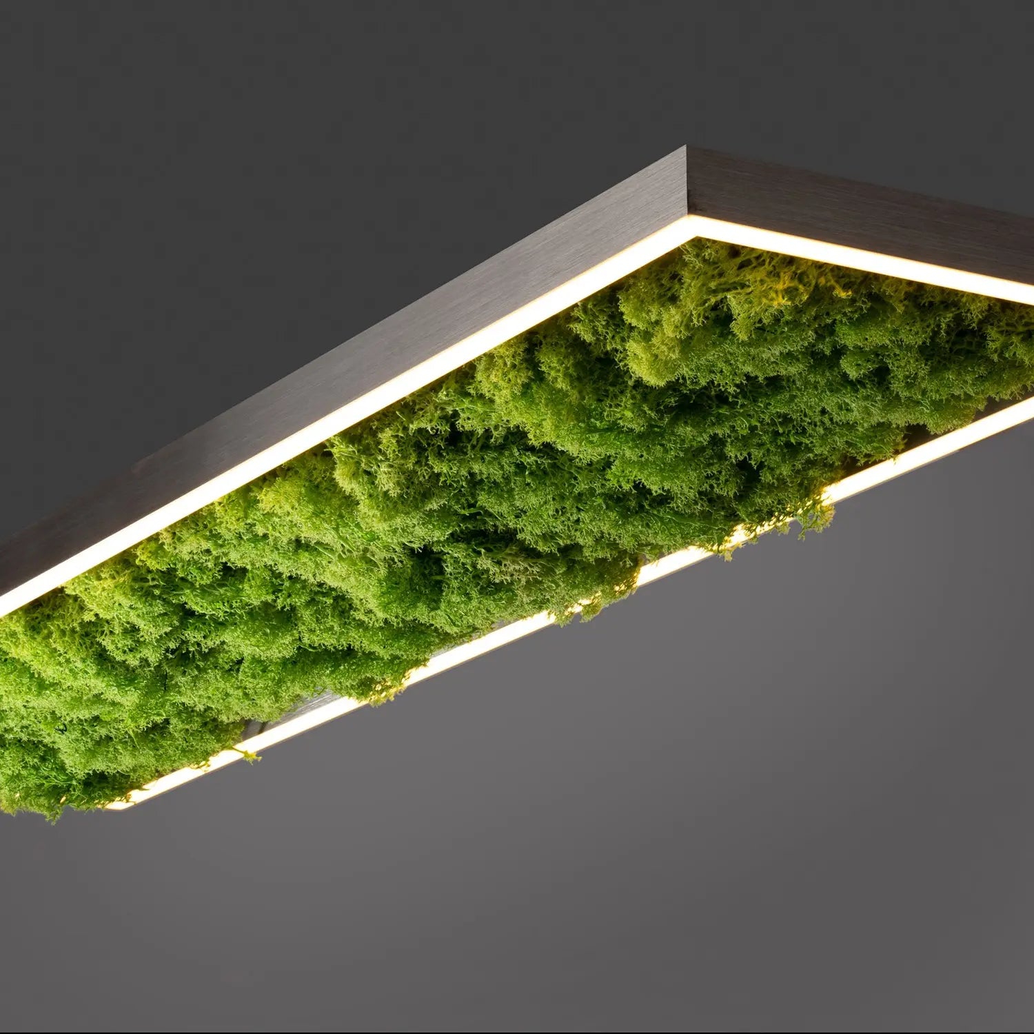B-Ware Green Deckenleuchte Lampen Led Leuchte Moos Alu Acryl 100x25x5,6cm Siehe Text - 4043689994846