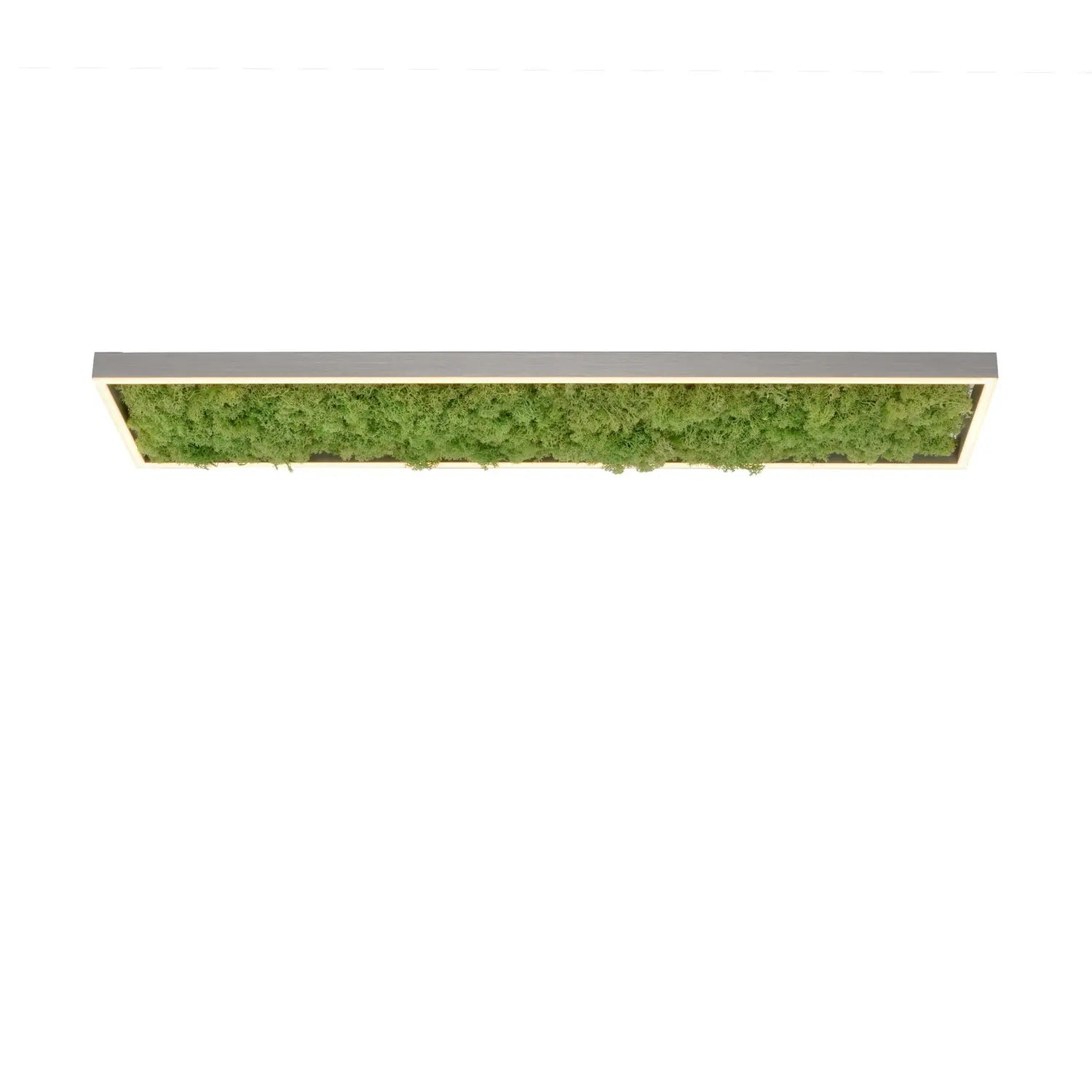 B-Ware Green Deckenleuchte Lampen Led Leuchte Moos Alu Acryl 1000x250x56mm Siehe Text - 4043689994846