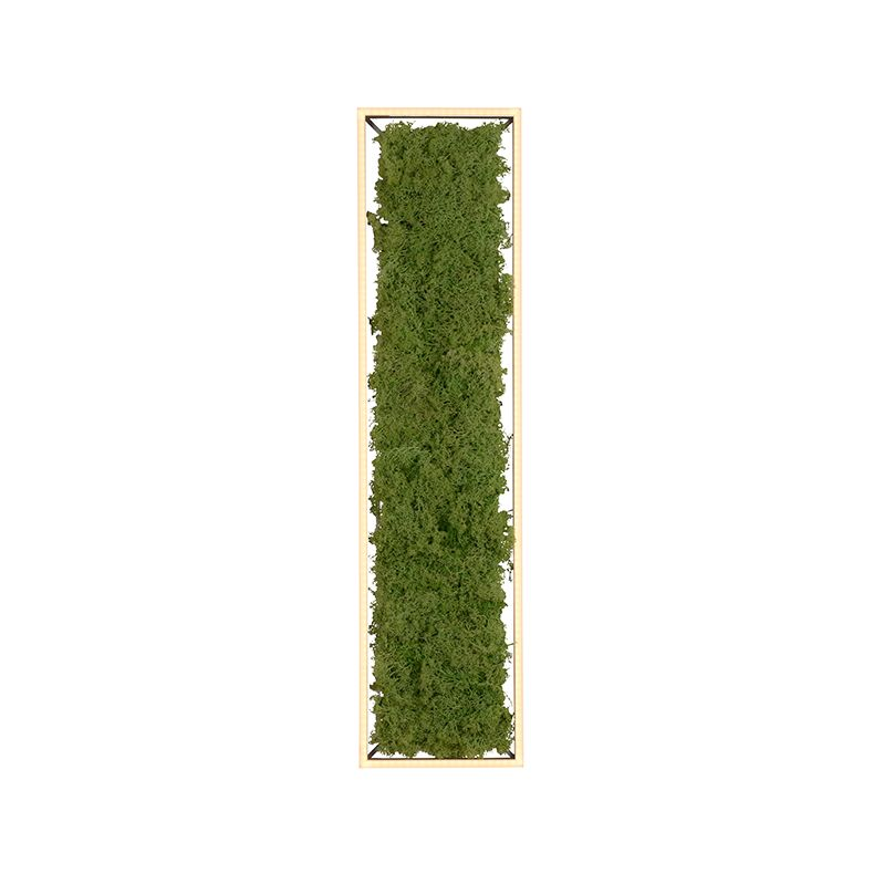 B-Ware Green Deckenleuchte Lampen Led Leuchte Moos Aluminium Acryl Quadrat 1000x250648