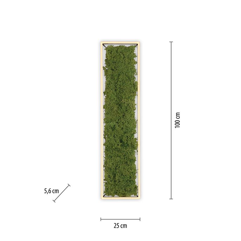 JUST LIGHT LED-Deckenleuchte Gerda Knut mit echtem Moos dimmbar grün 100x25cm - 4043689994846