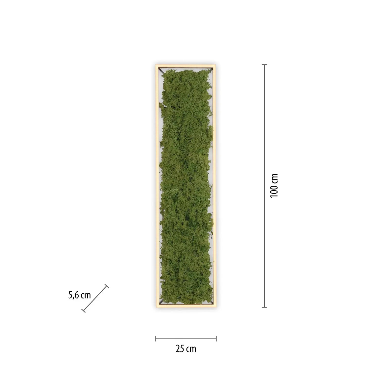B-Ware Green Deckenleuchte Lampen Led Leuchte Moos Alu Acryl 1000x250x56mm Siehe Text - 4043689994846