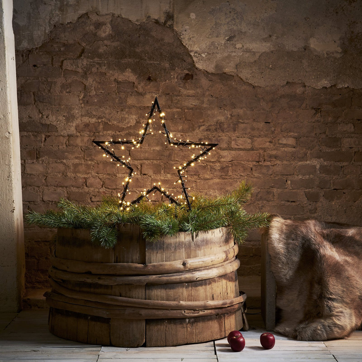 Star Trading LED-Dekoleuchte Spiky mit Erdspießen Weihnachtsbeleuchtung 60 cm - 7391482051523