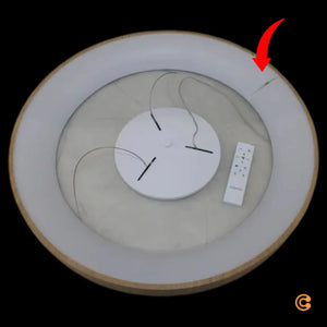 Descriptive image text