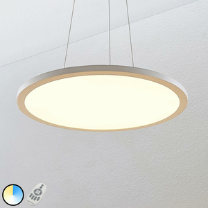 B-Ware Lampenwelt.Com Led Hängeleuchte Hängeleuchte Lampe Tess 2.700 6.200 K 60cm Weiß