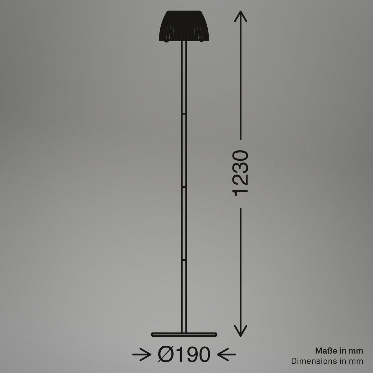 Briloner LED-Stehlampe Loca, anthrazit, Höhe 123 cm Kunststoff/Metall - 4002707485698