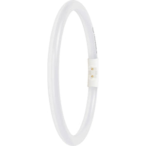 B-Ware Ledvance Led Röhre Leuchtstoffröhre T5 Tageslichtweiß Weiß Röhrenform 11.6 W