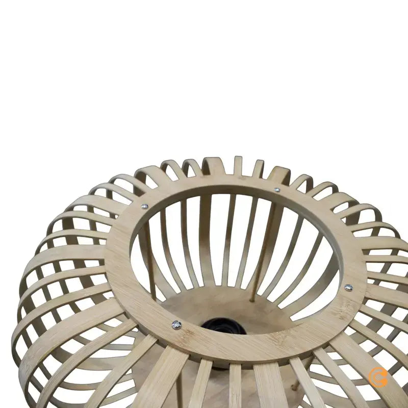 Leuchten Direkt Deckenlampe Racoon Deckenleuchte Wohnzimmerlampe Leuchte Lampe - 4043689984366