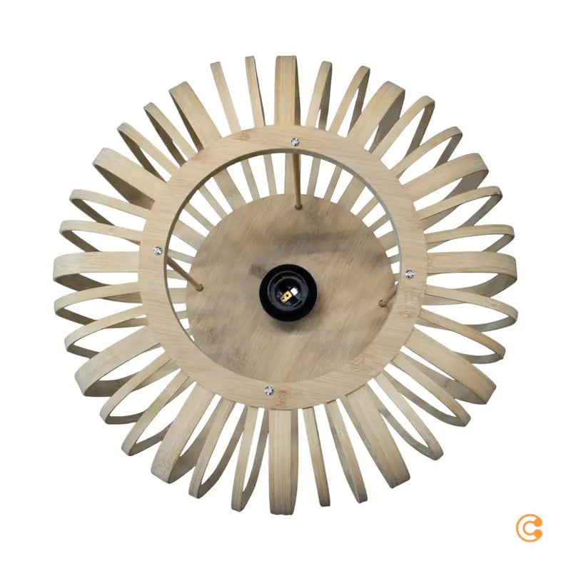 Leuchten Direkt Deckenlampe Racoon Deckenleuchte Wohnzimmerlampe Leuchte Lampe - 4043689984366