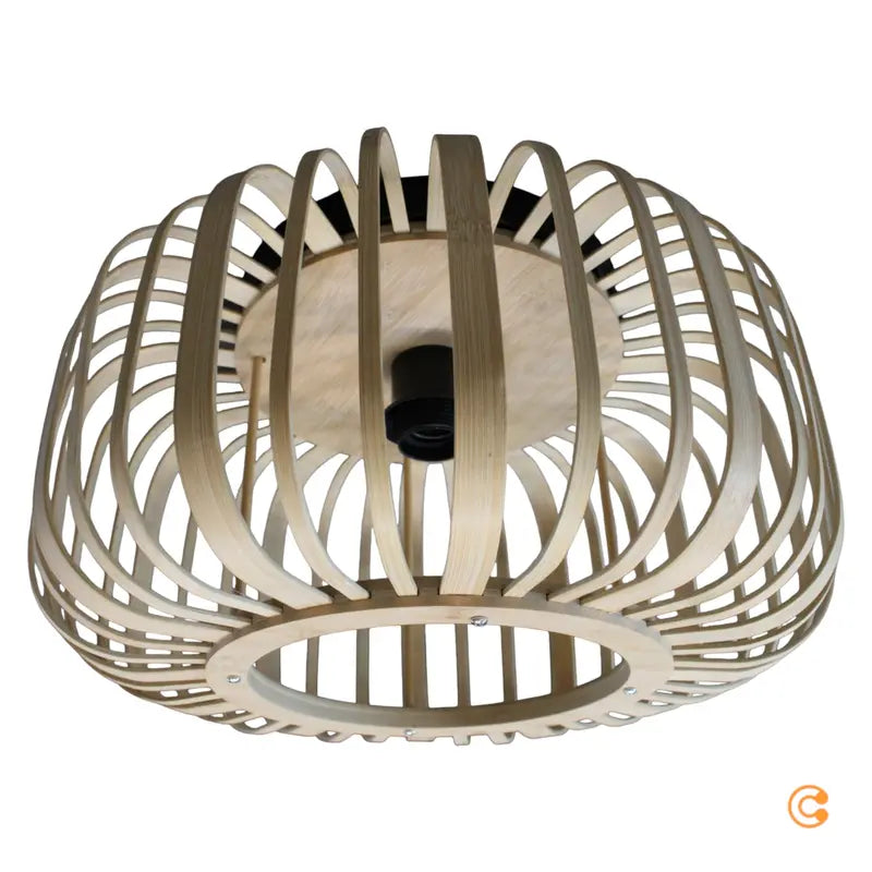 Leuchten Direkt Deckenlampe Racoon Deckenleuchte Wohnzimmerlampe Leuchte Lampe - 4043689984366