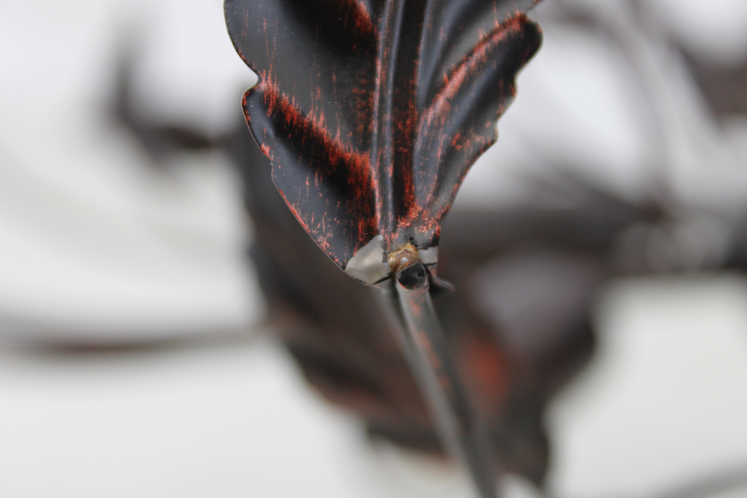 Lindby Deckenlampe Hängeleuchte Lampe Leuchte Yos Blattoptik 5 Flmg Siehe Text B-Ware - 4251096547160