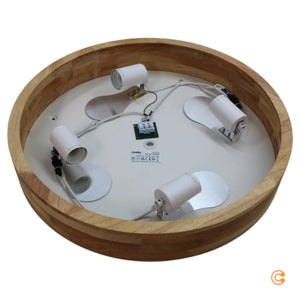 Descriptive image text