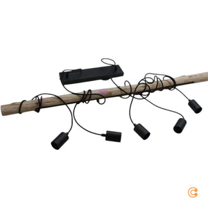 Descriptive image text